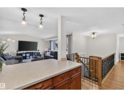 1594 69 Street Nw Nw, Edmonton, AB T6K3R3 Photo 19