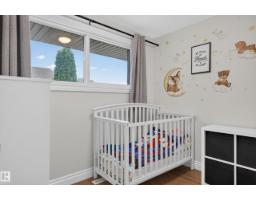 1594 69 Street Nw Nw, Edmonton, AB T6K3R3 Photo 24