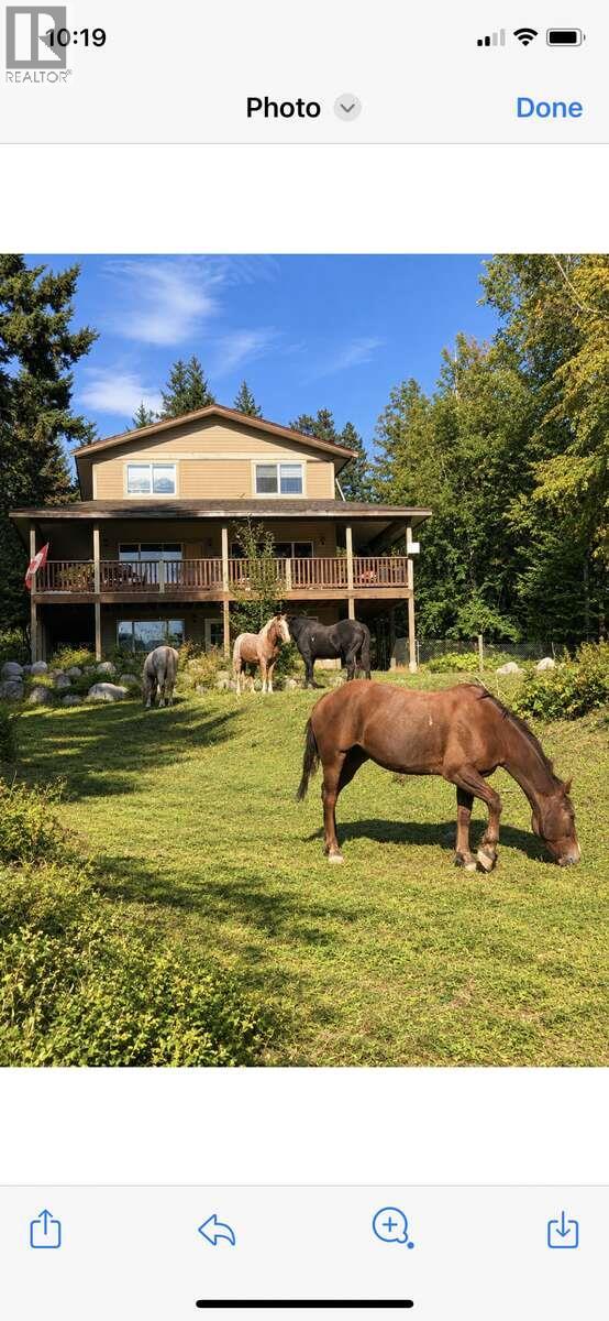 2350 Gun Creek Road - 30