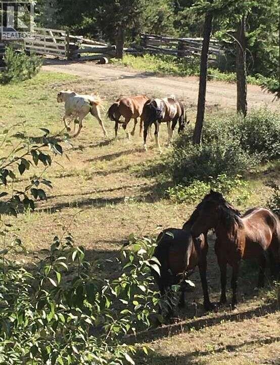 2350 Gun Creek Road - 14