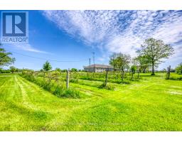 232 Eighth Road E, Hamilton, ON L8J3M2 Photo 45