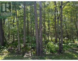 21 - 1007 Racoon Road, Gravenhurst, ON P1P0C2 Photo 31