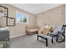 14422 104 Av Nw, Edmonton, AB T5N0X1 Photo 29