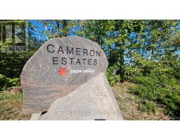 15 Byers Street, Springwater, ON L9X2A3 Photo 36