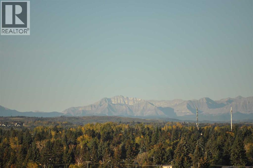 #1704 9800 Horton Road SW - 17