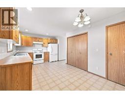 28 Terrace Heights Drive, Lacombe, AB T4L2L8 Photo 11