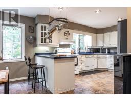 4811 Whalen Line, Lucan Biddulph, ON N0M1V0 Photo 25