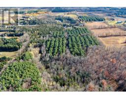 9328 Wellington Rd 50 Road, Erin, ON N0B1T0 Photo 6
