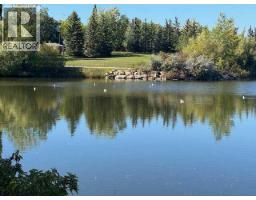 128 Promenade Way Se, Calgary, AB T2Z4E8 Photo 42
