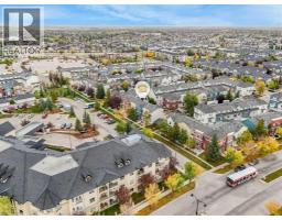 128 Promenade Way Se, Calgary, AB T2Z4E8 Photo 34