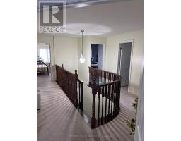 Laundry room - 84 Blue Mountain Drive, Hamilton, ON L0R1P0 Photo 10