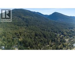 215 Rainbow Ridge Road, Procter, BC V0G1V0 Photo 22