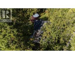 215 Rainbow Ridge Road, Procter, BC V0G1V0 Photo 96