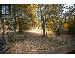 Main Unit - 129 Elizabeth Street, Guelph, ON N1E2X4 Photo 10