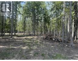 2305 Lions Ridge Road Lot# Sl 10, Celista, BC V1Y5J4 Photo 18