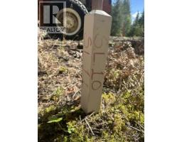 2305 Lions Ridge Road Lot# Sl 10, Celista, BC V1Y5J4 Photo 19