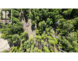 2305 Lions Ridge Road Lot# Sl 10, Celista, BC V1Y5J4 Photo 13