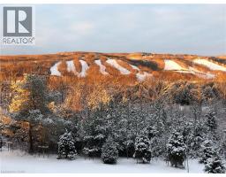 12 Beausoleil Lane Unit# 206, The Blue Mountains, ON L9Y2X5 Photo 42