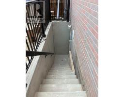 Basement - 44 Sylvia Street, Barrie, ON L4M5J4 Photo 10