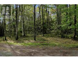 190 Town Line Rd E, Laird, ON P0S1C0 Photo 39