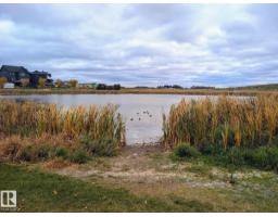 19 Lakevista Pt, Beaumont, AB T4X0J2 Photo 7