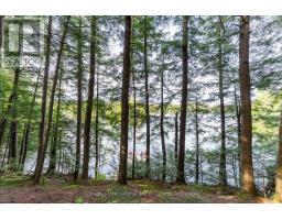 1058 Timber Trail, Bracebridge, ON P1L1X1 Photo 32