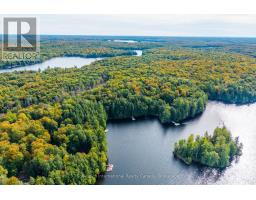1058 Timber Trail, Bracebridge, ON P1L1X1 Photo 44