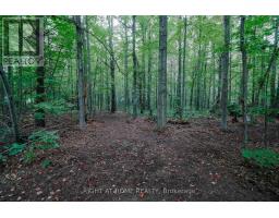 1602 County 92 Road, Springwater, ON L0L1P0 Photo 37