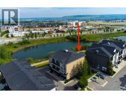 205, 250 Fireside View - photo 29