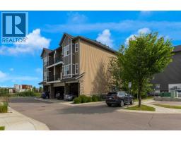 205, 250 Fireside View - photo 26