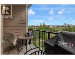 205, 250 Fireside View - photo 14