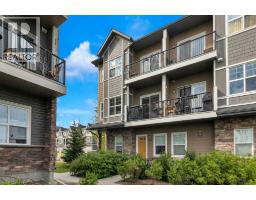 205, 250 Fireside View - photo 28