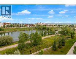 205, 250 Fireside View - photo 18