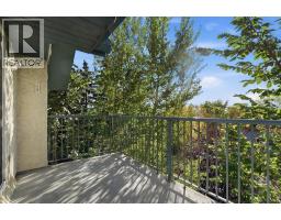 417, 21 Dover Point Se, Calgary, AB T2B3K4 Photo 20
