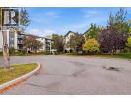 417, 21 Dover Point Se, Calgary, AB T2B3K4 Photo 23