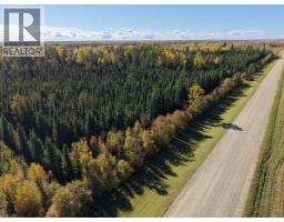 On Range Road 90/township Road 503, Rural Brazeau County, AB T7A2A3 Photo 10