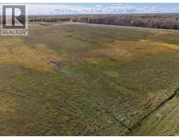 On Range Road 90/township Road 503, Rural Brazeau County, AB T7A2A3 Photo 12