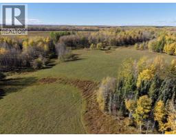 On Range Road 90/township Road 503, Rural Brazeau County, AB T7A2A3 Photo 6