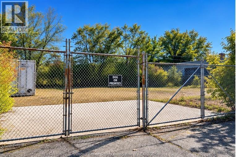 355 CABANA ROAD East, Windsor — photo 5
