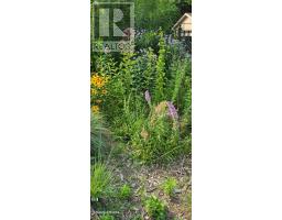 271 Joseph Street, Chatham Kent, ON N7L3H3 Photo 36