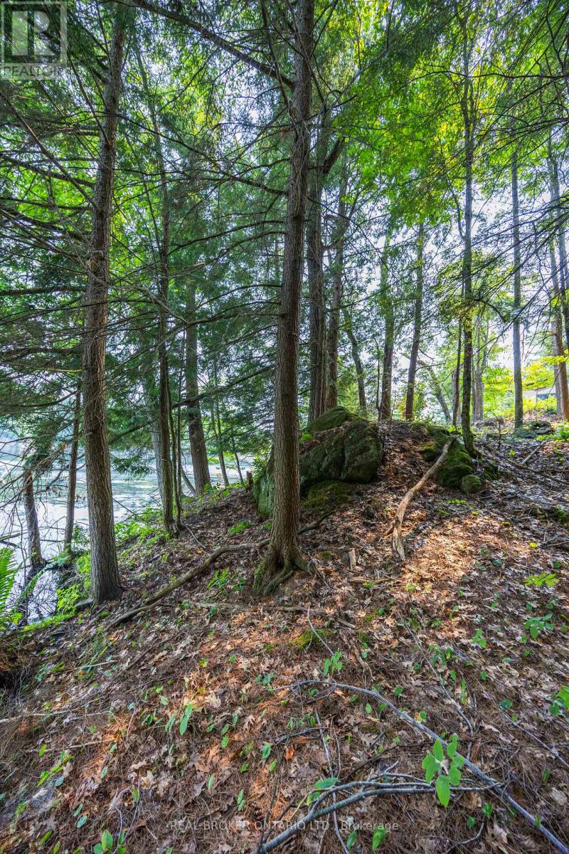 Lot 13 4 Wheel Drive, Gravenhurst), ON photo 13