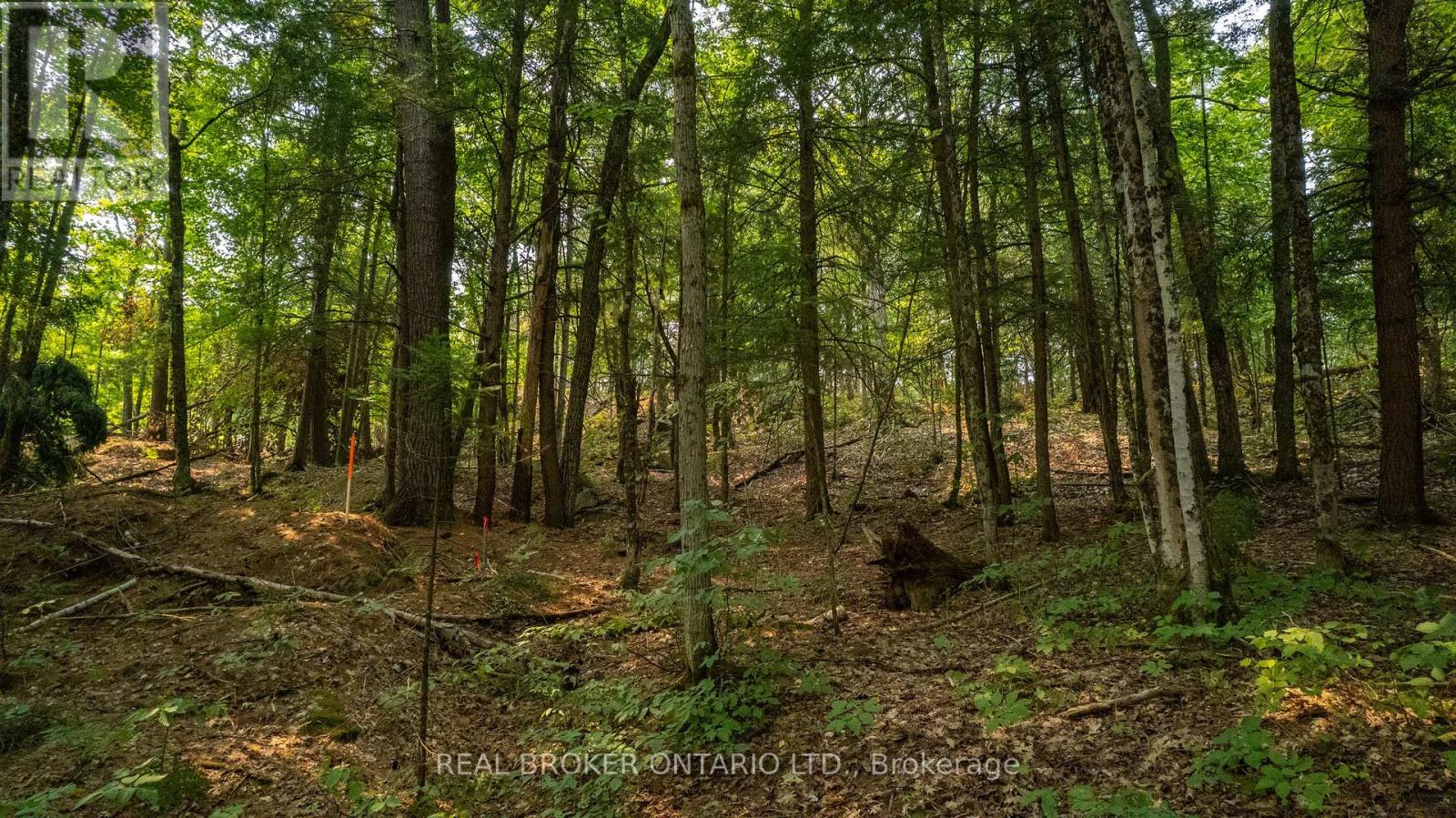 Lot 13 4 Wheel Drive, Gravenhurst), ON photo 16