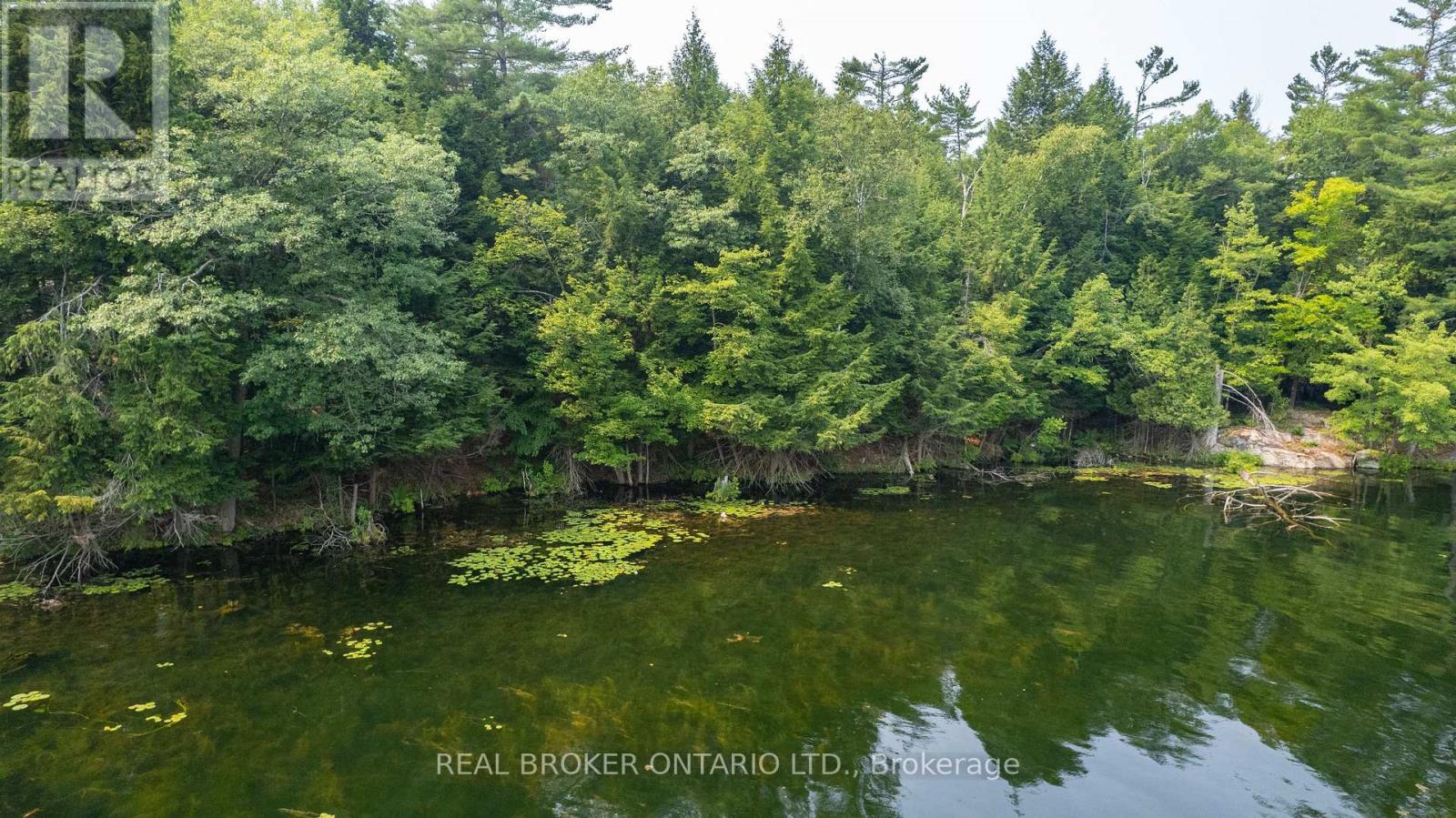Lot 13 4 Wheel Drive, Gravenhurst), ON photo 18