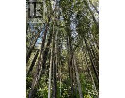 212, 69402 Rge Rd 82, Grovedale, AB T0H1X6 Photo 9