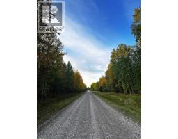 212, 69402 Rge Rd 82, Grovedale, AB T0H1X6 Photo 49