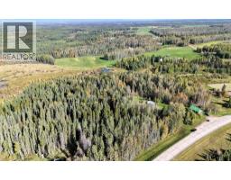 Recreational, Games room - 14104 Township Road 534a, Rural Yellowhead County, AB T0E1S0 Photo 9