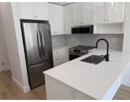 Laundry room - 409 46185 Thomas Road, Vedder Crossing, Chilliwack, BC V2R6H3 Photo 6