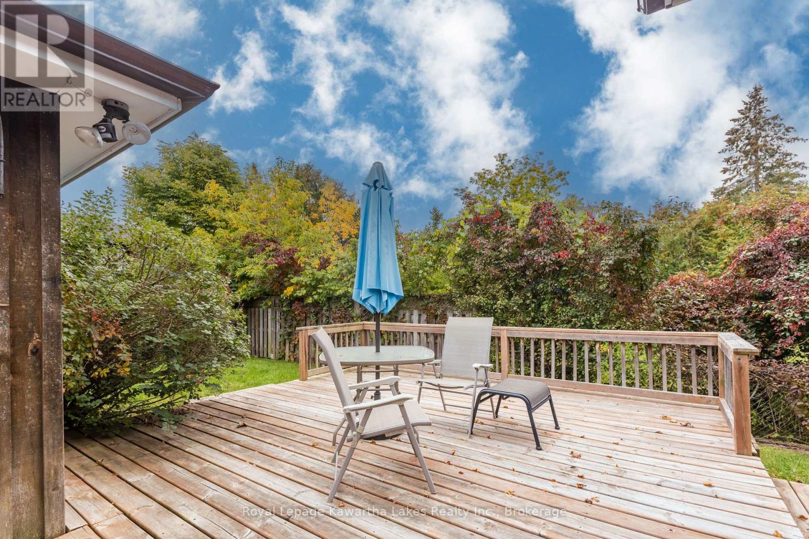115 Victoria Avenue North, Kawartha Lakes, ON photo 23