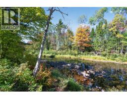 5 Brooks Road, Havelock, NB E4Z0G3 Photo 42