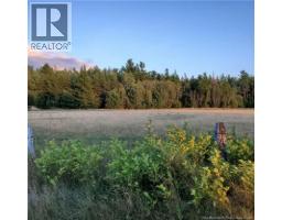 1193 Saint-charles Sud, Saint Charles, NB E4W4W1 Photo 44